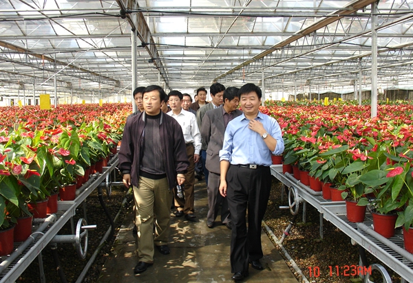 ecba1330ea074a3195627b817bf06a44.jpg 2邹志荣教授带领客人们参观新天地农业示范园_副本.jpg