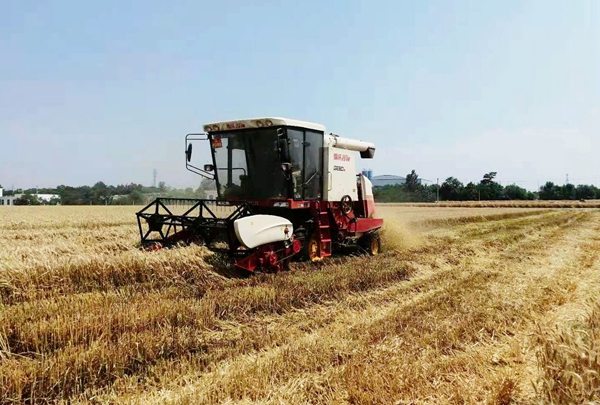 a17b9462e1bc4a5db1544188c5b570e1.jpg 曹新庄试验农场机械收获_副本.jpg