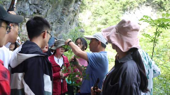 25fdcb70e6214d1bab86ac790df00c11.png image.png