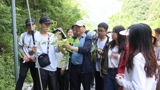 ba4e4263c9c1462c95741bcf3135e150.png image.png