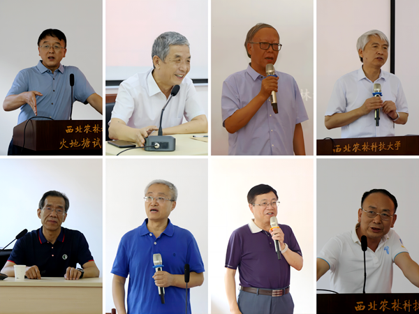 017f3f3f105b46efa267697013bba1f1.png image.png